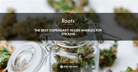 where are high quality canabis oil in los angeles county - best dispensary in la.